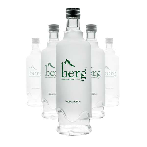 Berg – Glacial Still Water | Newfoundland, Canada