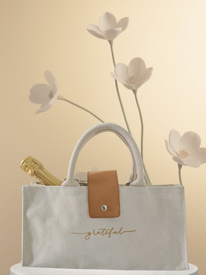 The Mindful Carrier - Nolo Miami
