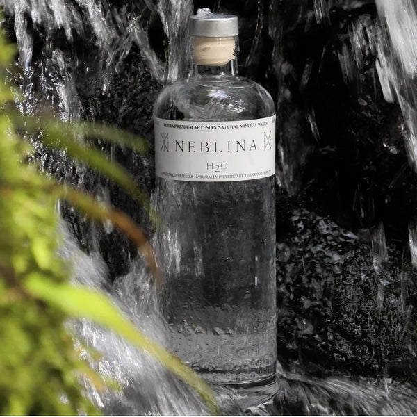 Neblina H2O Artesian Natural Mineral Water