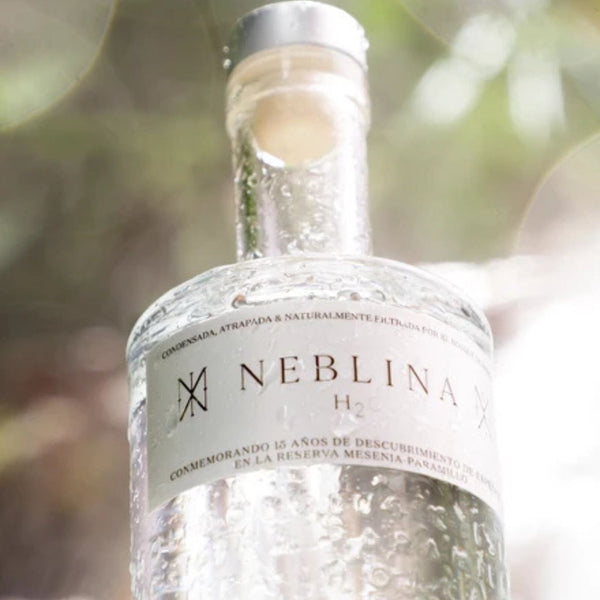 Neblina H2O Artesian Natural Mineral Water