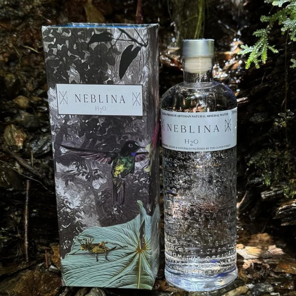 Neblina H2O Artesian Natural Mineral Water