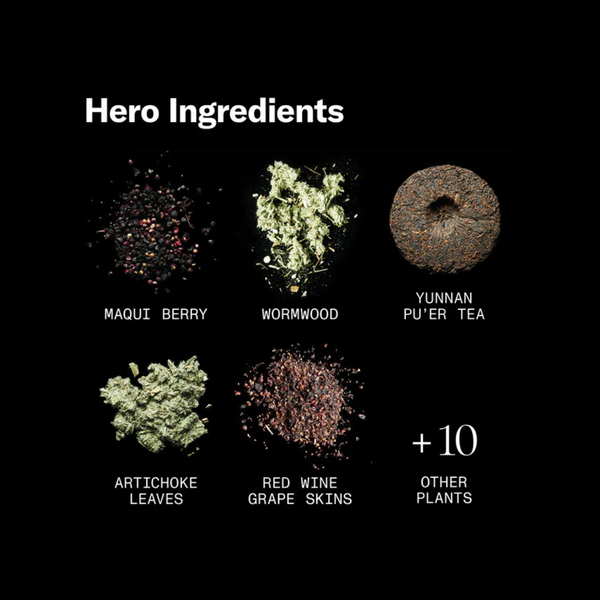 Rasāsvāda Ruby Artemisia – A Restorative, Botanical Non-Alcoholic Spirit