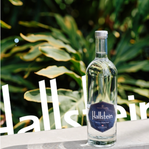 Hallstein — Pristine Artesian Water | Austrian Alps