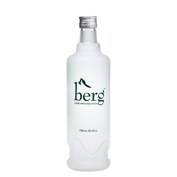 Berg – Glacial Still Water | Newfoundland, Canada